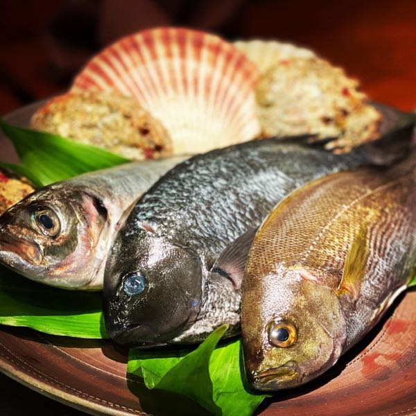 コース魚一部