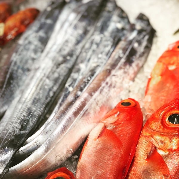 太刀魚 金目鯛