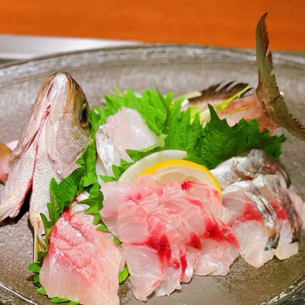 イサキ姿造り